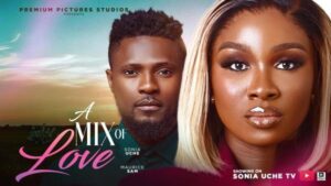 A Mix of Love (2025) – Nollywood